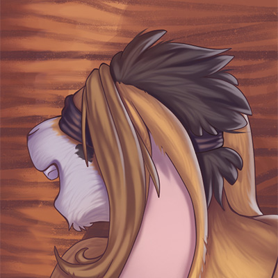 2017 Year Pack - Image 11