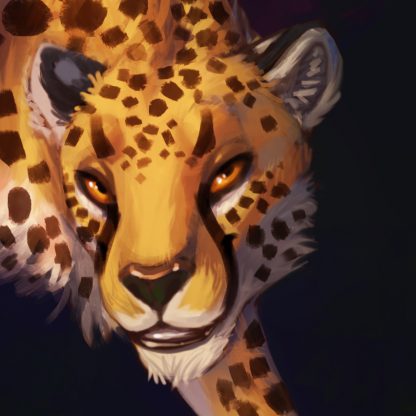 2019 Year Pack - Image 46